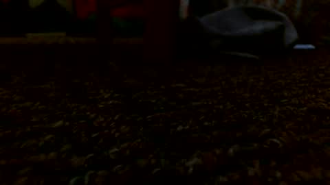 Snapshot of miguel320129 chatting on 12.24.24 Miggy online show from 12.24.24