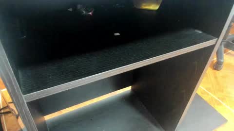 Mia online show from 02.24.25