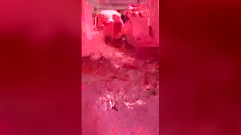 mike26051 online show from 04.19.26