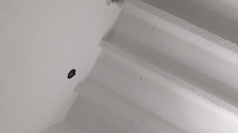 Snapshot of mikecamm chatting on 01.08.25 Miki online show from 01.08.25