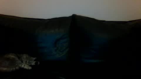 Snapshot of milagaborxx chatting on 11.16.25 MilaGabor online show from 11.16.25