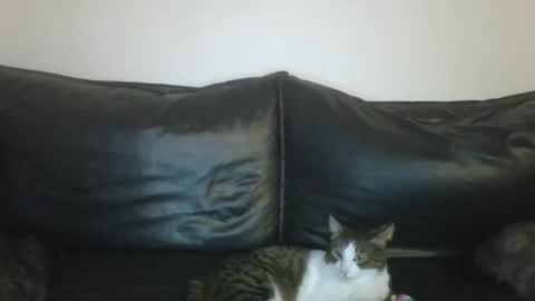 Snapshot of milagaborxx chatting on 01.16.26 MilaGabor online show from 01.16.26