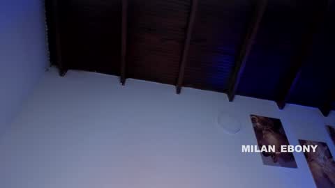 Milan  online show from 01.08.25