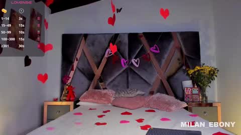 Milan  online show from 02.14.25