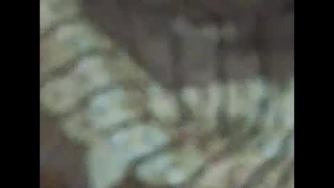 milfpussyeatdeep online show from 12.31.24