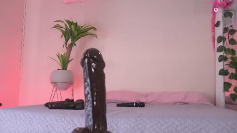    online show from 06.24.26