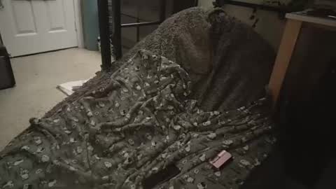 milky479 online show from 03.09.26