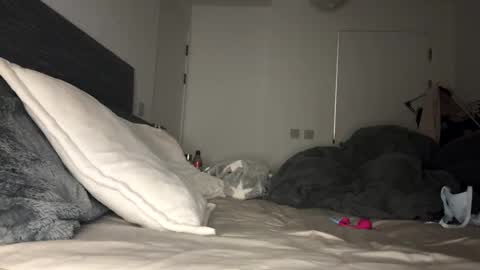 Mimi Monroe  online show from 11.09.25