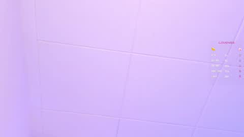 Snapshot of miss_sofiaa_ chatting on 01.13.25 Sofia Castro online show from 01.13.25