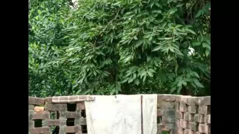 Zoya Khan online show from 09.16.25