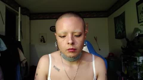 Anarkitten  online show from 10.30.25