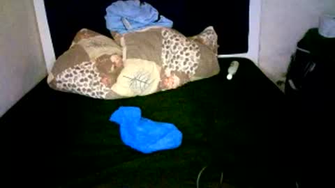 Snapshot of misscuteberry chatting on 01.07.26 VAL online show from 01.07.26