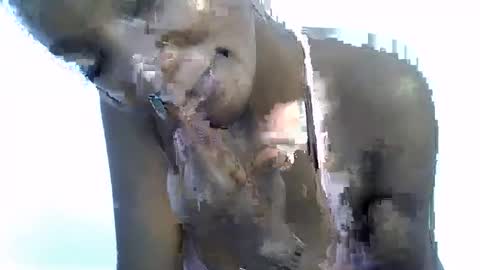 Snapshot of missmisbehave_irl chatting on 01.19.26 sexy online show from 01.19.26