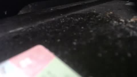 Calipso online show from 04.20.26