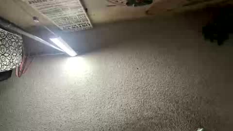 Snapshot of mister_nasty chatting on 01.12.26 mister_nasty online show from 01.12.26