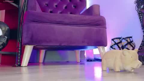 Jhadee online show from 03.07.26