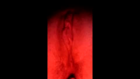 misty2026 online show from 01.09.26