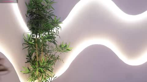 Snapshot of miyuki_wolf chatting on 11.15.25 miyuki_wolf online show from 11.15.25