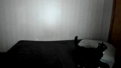 Snapshot of mizzkittay chatting on 02.26.25 MizzKittay online show from 02.26.25