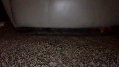 SexyRed online show from 09.16.25