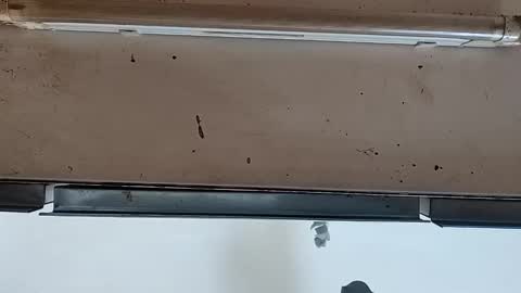 camilo online show from 09.24.25