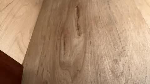 Jack online show from 10.20.25