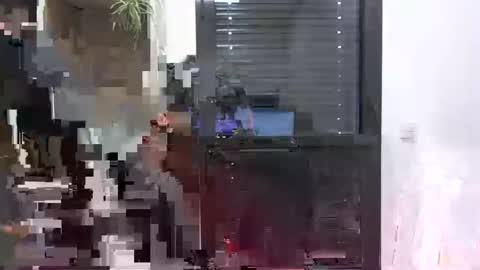 Julien online show from 01.24.25