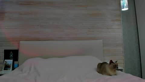 Snapshot of molly_hunt chatting on 03.01.26 Molly Hunt online show from 03.01.26