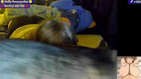 Snapshot of molly_moons chatting on 11.17.25 molly_moons online show from 11.17.25