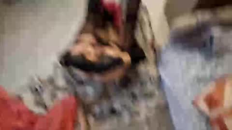 Monikina online show from 02.23.26