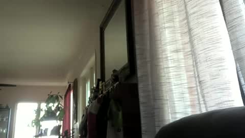 Monkee Dance online show from 12.23.24