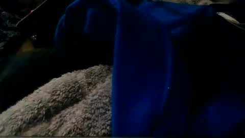 montanacock666 online show from 11.30.25