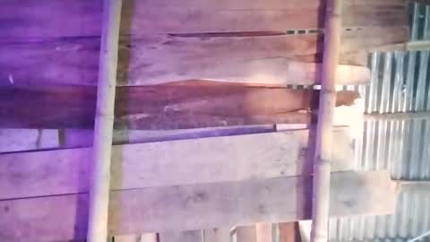 Snapshot of moon_roxee chatting on 01.04.25 moon_roxee online show from 01.04.25