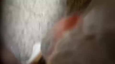 moos1 online show from 09.25.25