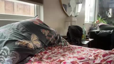 Snapshot of moreplease413 chatting on 12.27.24 moreplease413 online show from 12.27.24