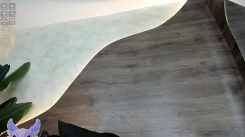  Morgan  online show from 02.18.25