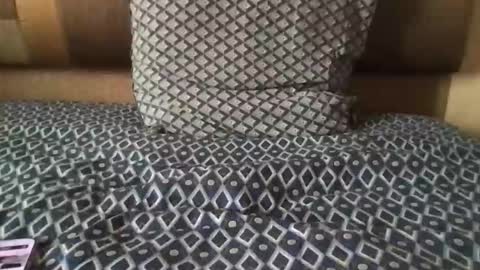 morrow7 online show from 09.09.25