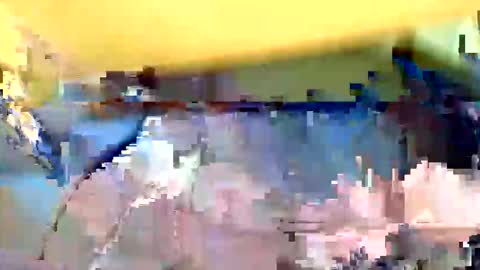 mountfort1967 online show from 05.22.26