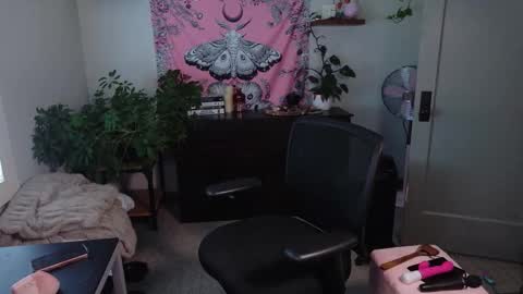 Mousie online show from 02.27.26