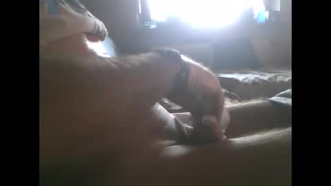 Snapshot of mowgli1977 chatting on 12.28.24 mowgli1977 online show from 12.28.24