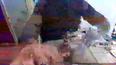 mppempis81 online show from 11.15.25