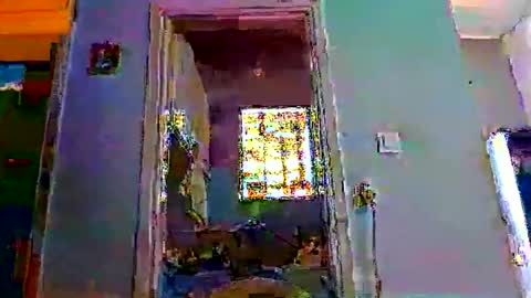 mppempis81 online show from 02.01.26