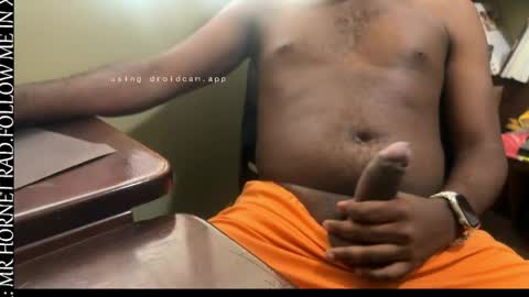 mr_hornet_rad online show from 04.12.26