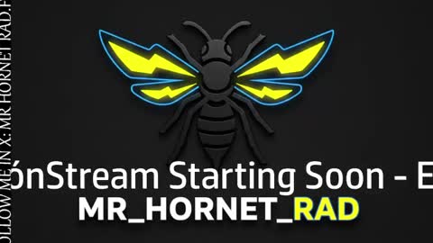 mr_hornet_rad online show from 04.27.26