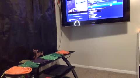 Snapshot of mr_j_showoff chatting on 01.03.25 whateveryouwant online show from 01.03.25