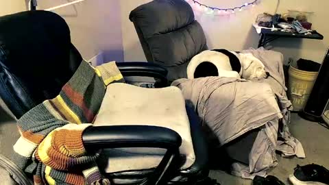 mrbiggintx online show from 04.12.26