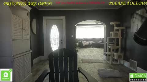 MrBrew online show from 02.25.25