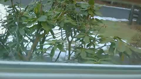 Snapshot of mrbrigggs chatting on 01.14.26 mrbrigggs online show from 01.14.26