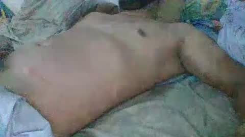 Gato online show from 12.31.24