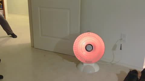 Snapshot of mrf388 chatting on 11.17.25 IwantU2WatchME online show from 11.17.25